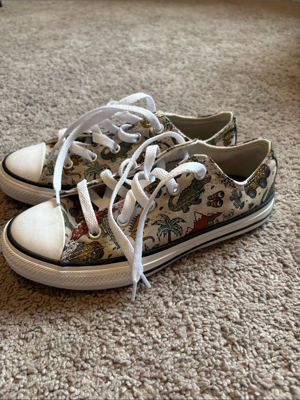 Converse Chuck Taylor All Star Desert Explorer sneakers